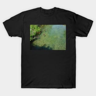 Ducks and Fish Swimming Together in a River T-Shirt